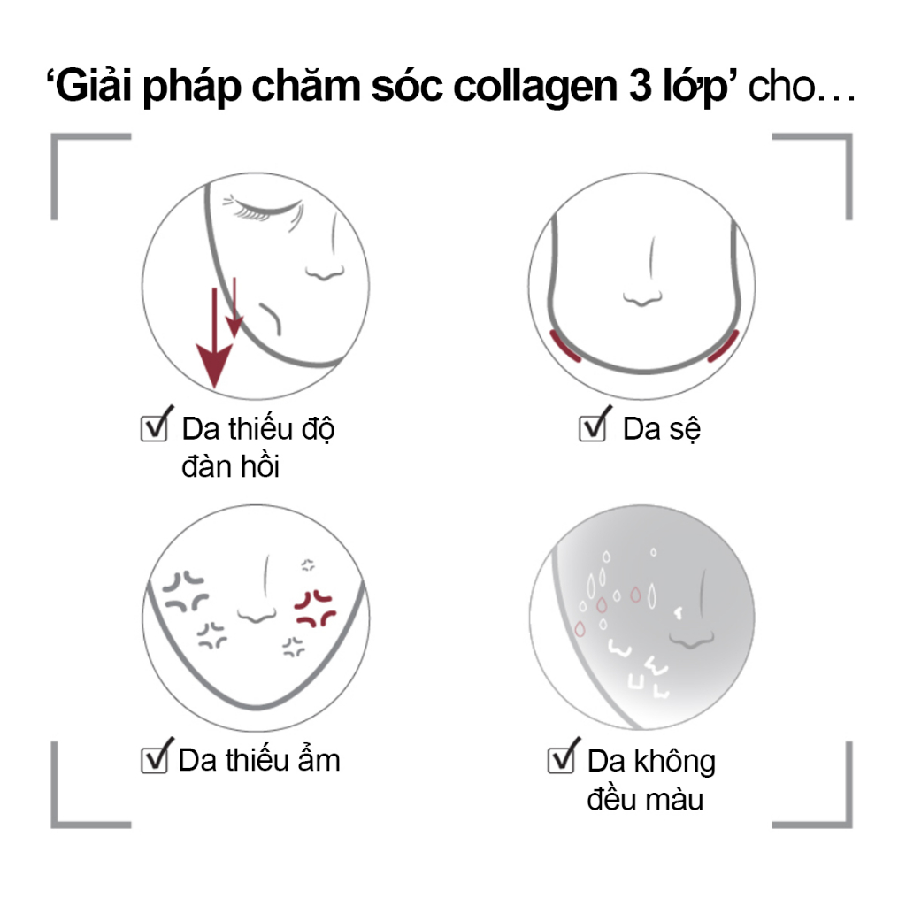 Serum pudding 74% collagen numbuzin số 4