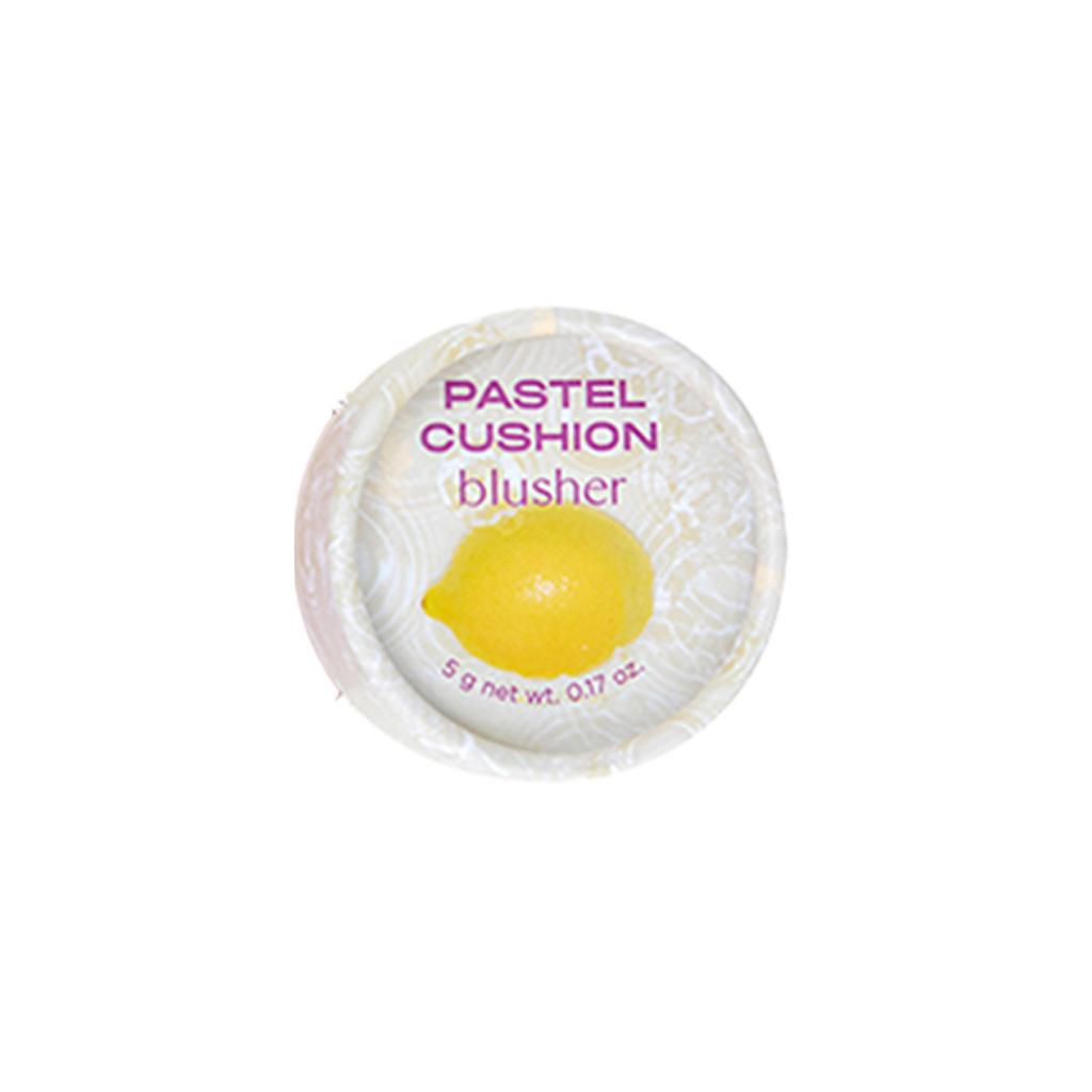 The face shop  fmgt pastel cushion blusher