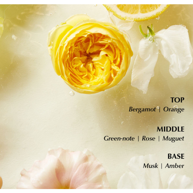 MOREMO ADVANCED LPP LINE