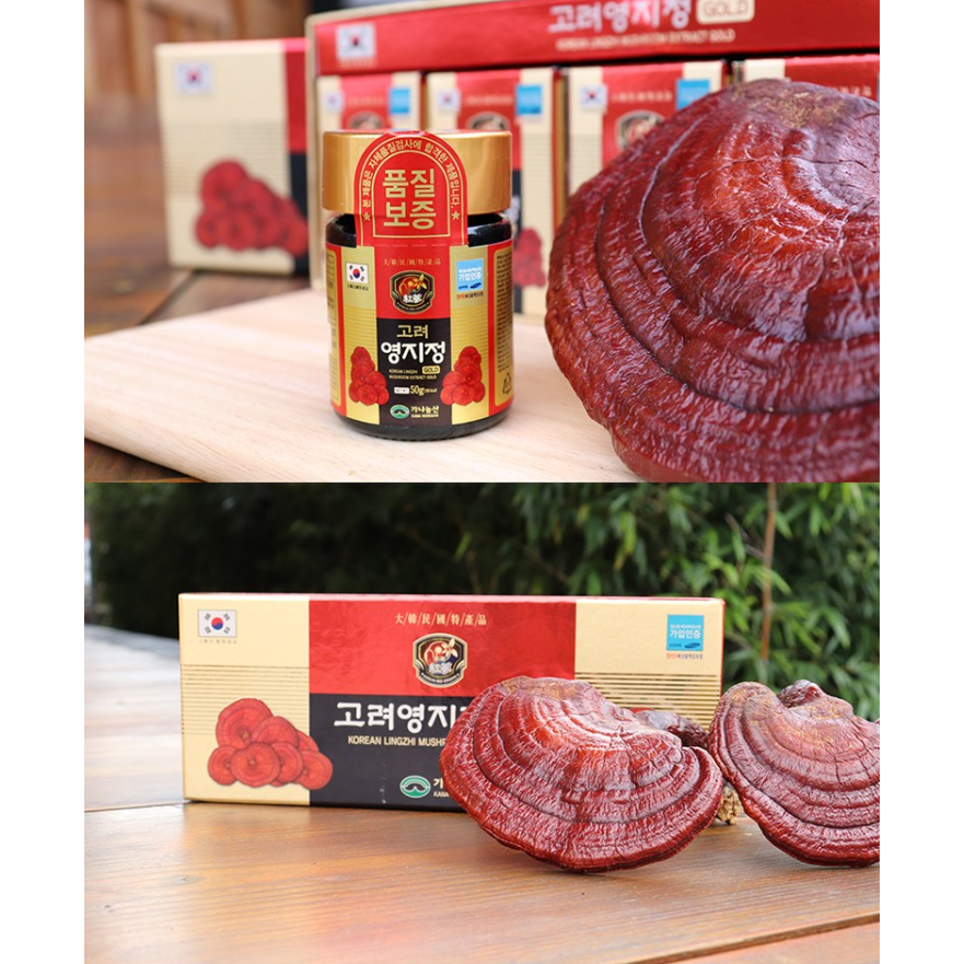 Hộp Cao linh chi thượng hạng Goryeo 250g