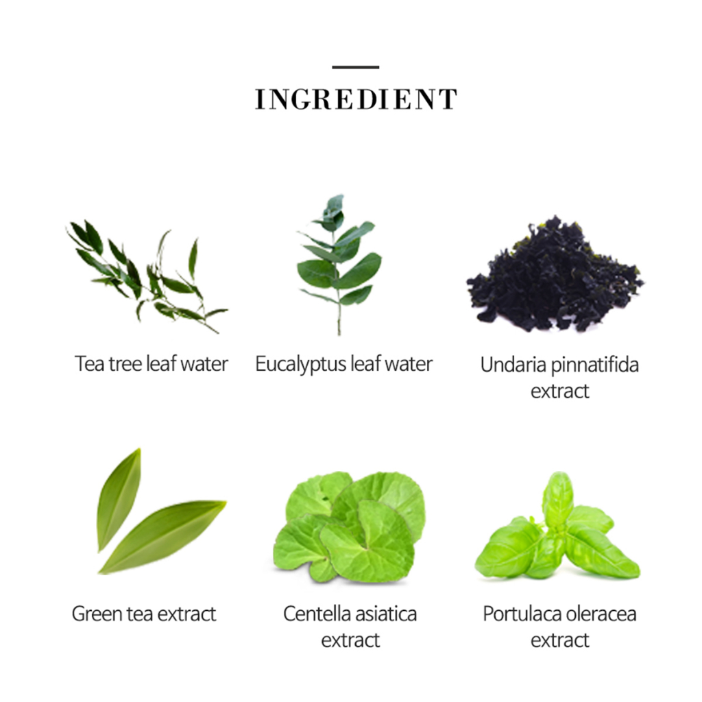 Dung Dịch Dưỡng Da Kiểm Soát Dầu Chiết Xuất Tràm Trà 200ml