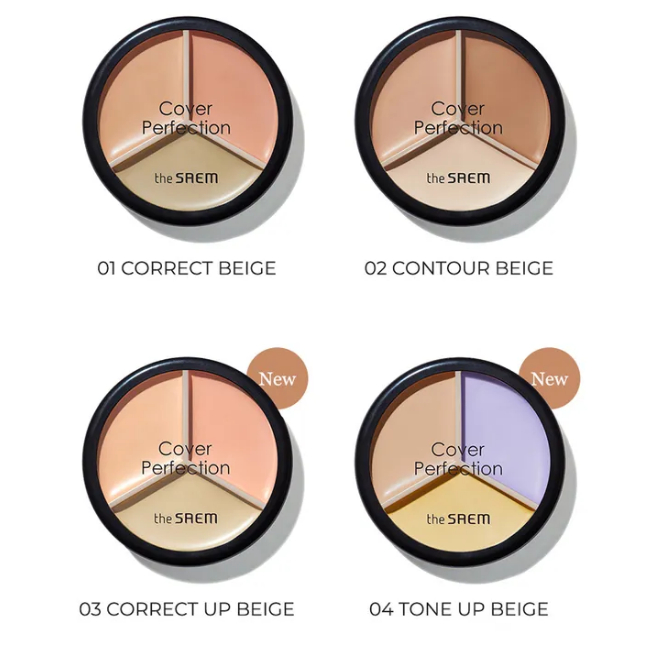 Kem Che Khuyết Điểm THE SAEM Che Phủ Hoàn Hảo 4,5g - Seoin