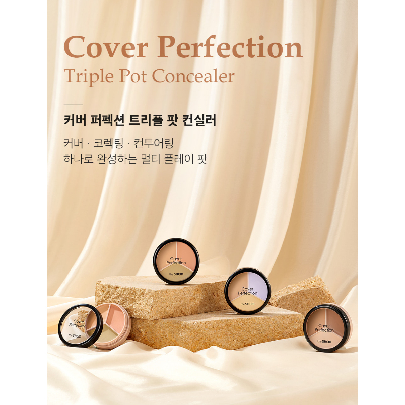 Kem Che Khuyết Điểm THE SAEM Che Phủ Hoàn Hảo 4,5g - Seoin