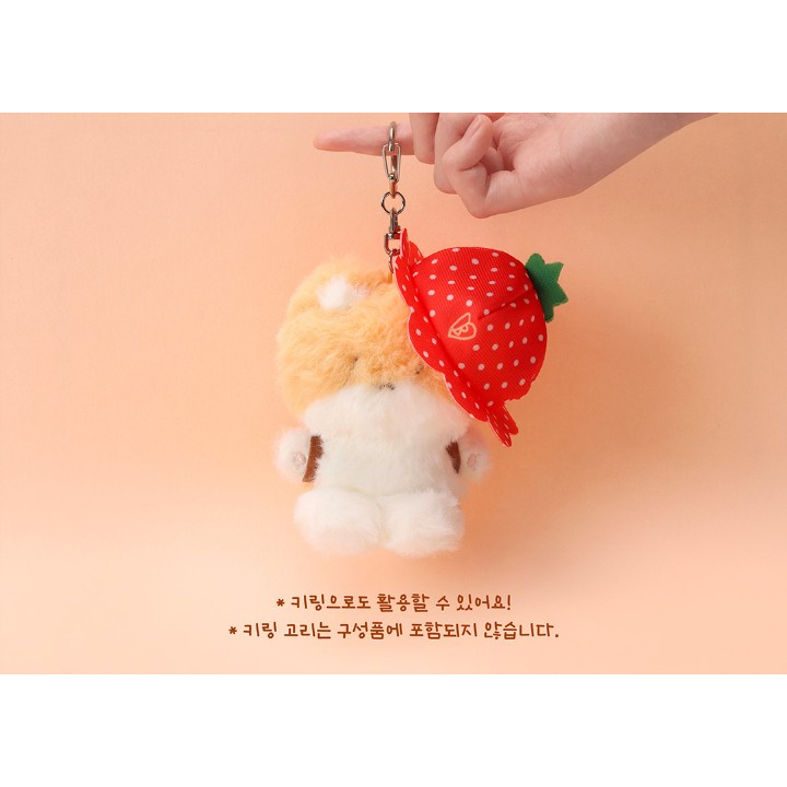 Teolaegi BAEKHYUN 10CM BERRY LOVER - EXO