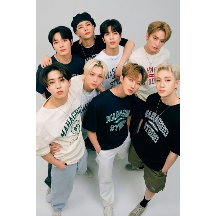 Áo Thun Có LOGO Cơ Bản UNISEX / 6 Màu / STRAY KIDS / 100% Chính Hãng / Hàn Quốc