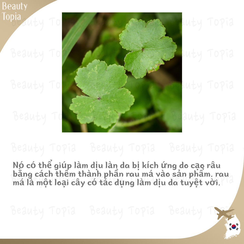 Lazy Society rau má gel cạo râu kem cạo râu Cica Shaving Gel 250ml