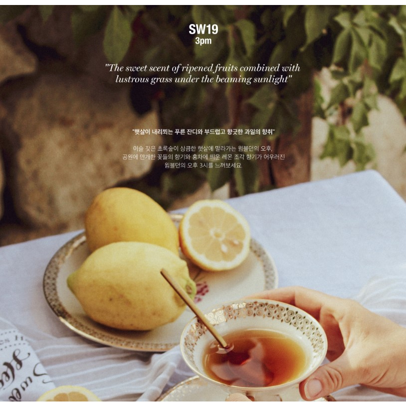 Kem Dưỡng Da Tay SW19 50ML
