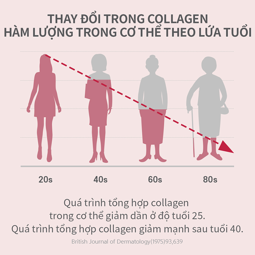 Collagen Lựu Dạng Thạch  Làm Đẹp Da  20g x 15 gói