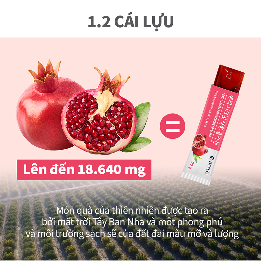 Collagen Lựu Dạng Thạch  Làm Đẹp Da  20g x 15 gói