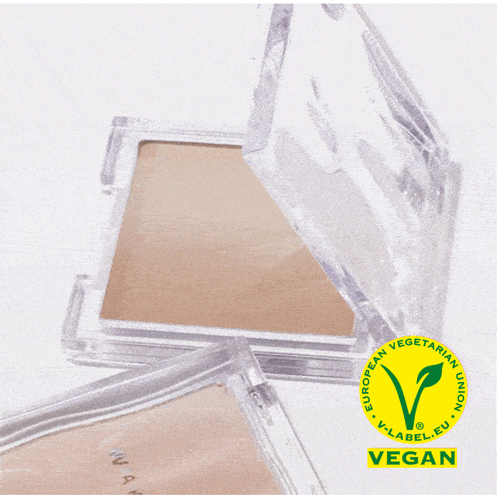 Mix Blurring Volume Shading + Dual Brush SET Trộn bóng mờ âm lượng + SET bàn chải kép