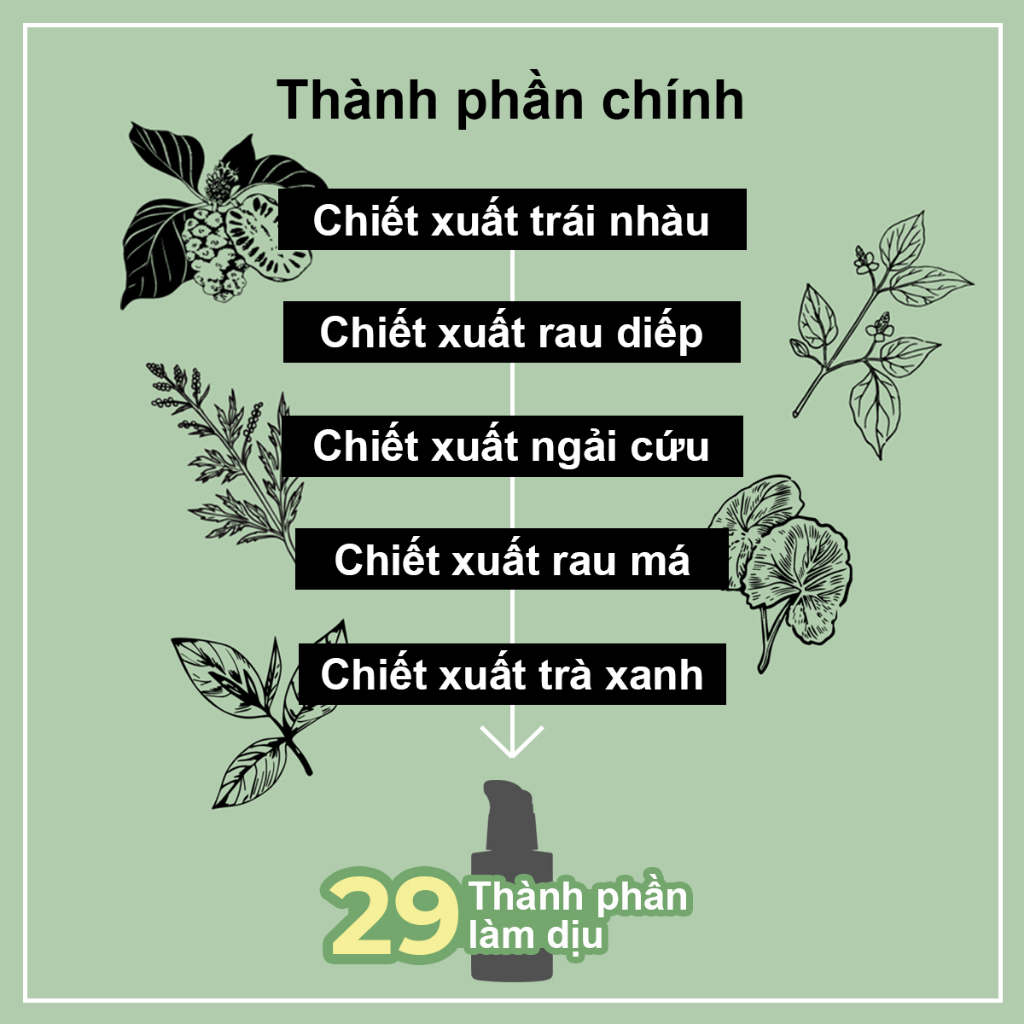 Tinh chất làm dịu da numbuzin No.7 Mild Green soothing Serum