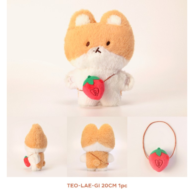 Teolaegi BAEKHYUN 20CM & AR VOICE SET - EXO