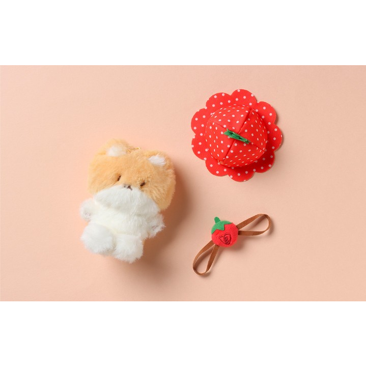 Teolaegi BAEKHYUN 10CM BERRY LOVER - EXO