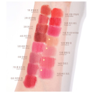 [ROM & ND] [Giảm giá thanh lý] Blur Fudge Tint 5g romand
