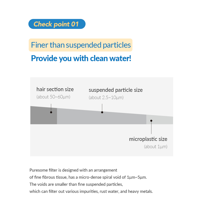 BODYLUV PURESOME SHOWER HEAD & FILTER