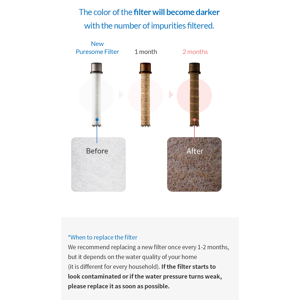 BODYLUV PURESOME SHOWER HEAD & FILTER