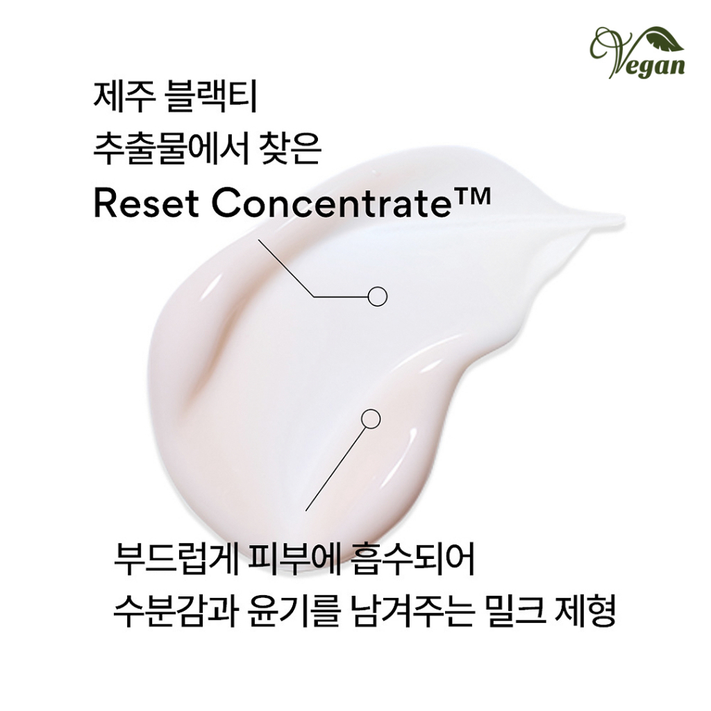 INNISFREE Black Tea Youth Enhancing Skin 170ml / Emulsion 170ml / Gift Set - Anti-Aging, Hydrating Toner & Emulsion