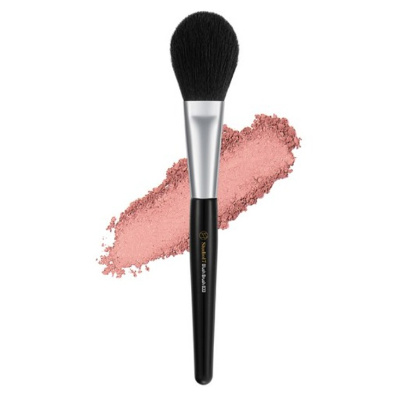 Cọ má hồng studio17 833