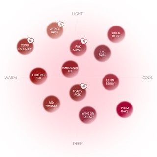 Inga Blurring Velvet Matte Tint (12 màu)