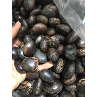 Hạt đậu hút độc(đậu lào - 12 hạt)