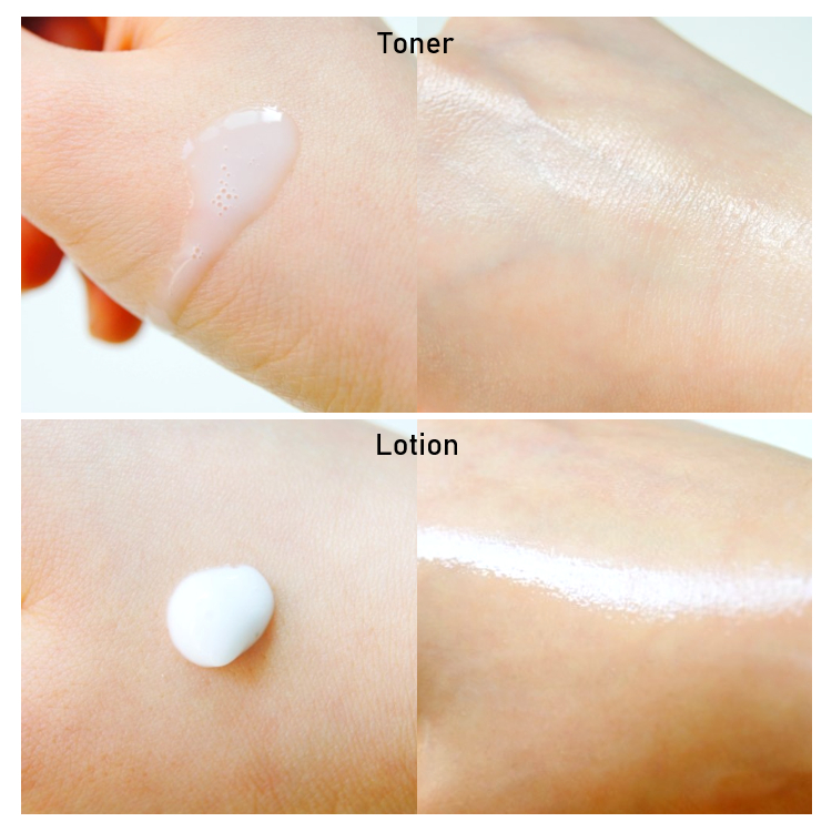 THE FACE SHOP  Bộ Sưu Tập Hạt Giống Trắng