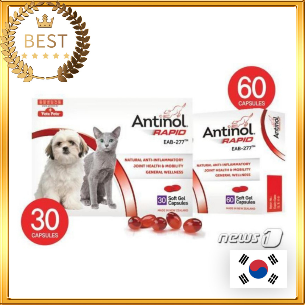 [Vetz PETZ] Antinol Rapid EAB-277 Sản xuất mới nhất dành cho chó mèo Bổ sung dinh dưỡng cho sức khỏe