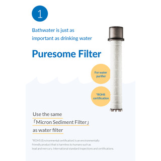 [READY TO SHIP] BODYLUV PURESOME SHOWER HEAD & FILTER