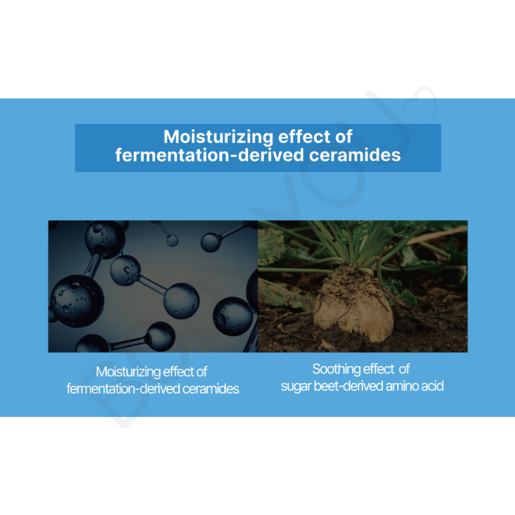 Ceramide Ato Soothing Gel 175ml Face Moisturizer K-beauty Skincare *illiyoon