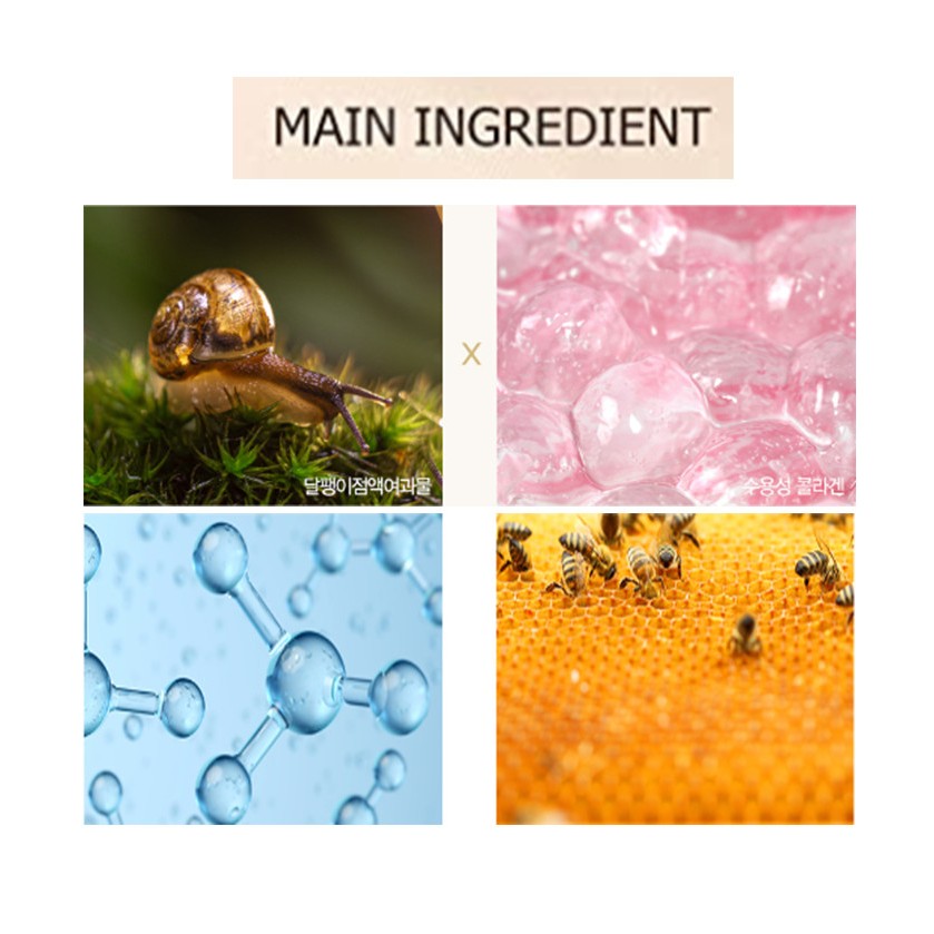 Snail Essential EX Wrinkle Solution Line NEW