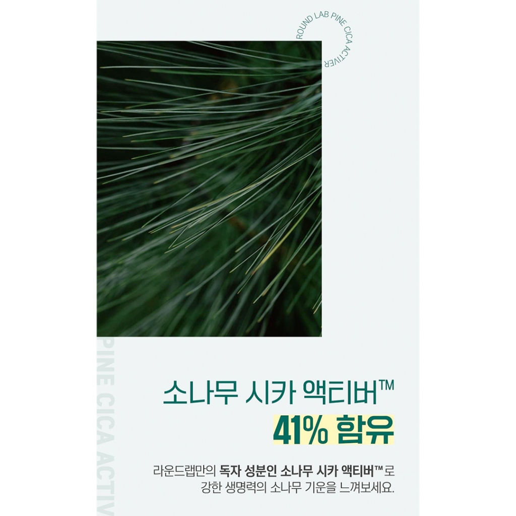 ROUND LAB 1025 Dokdo Toner / Pine Tree Soothing Cica Toner Dụng Cụ cica toner 1025 dokdo cica Hình Tròn Làm Dịu Da Cân Bằng Nước Khoáng