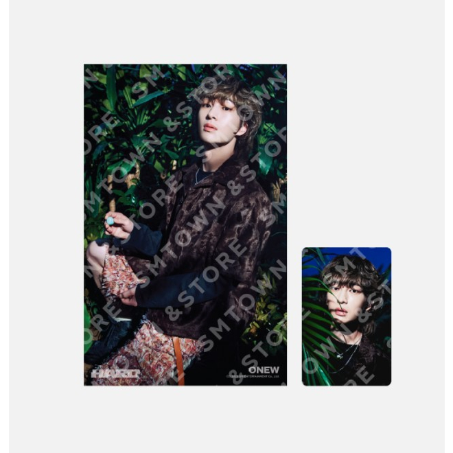 SHINee 4X6 PHOTO - HARD