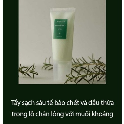 AROMATICA Muối Tẩy Tế Bào Chết Da Đầu Hương Thảo Rosemary Scalp Scrub 165g + Tặng Dầu gội Hương Thảo 100ml