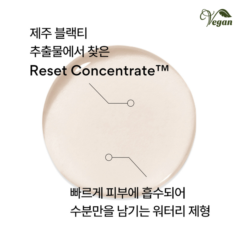 INNISFREE Black Tea Youth Enhancing Skin 170ml / Emulsion 170ml / Gift Set - Anti-Aging, Hydrating Toner & Emulsion