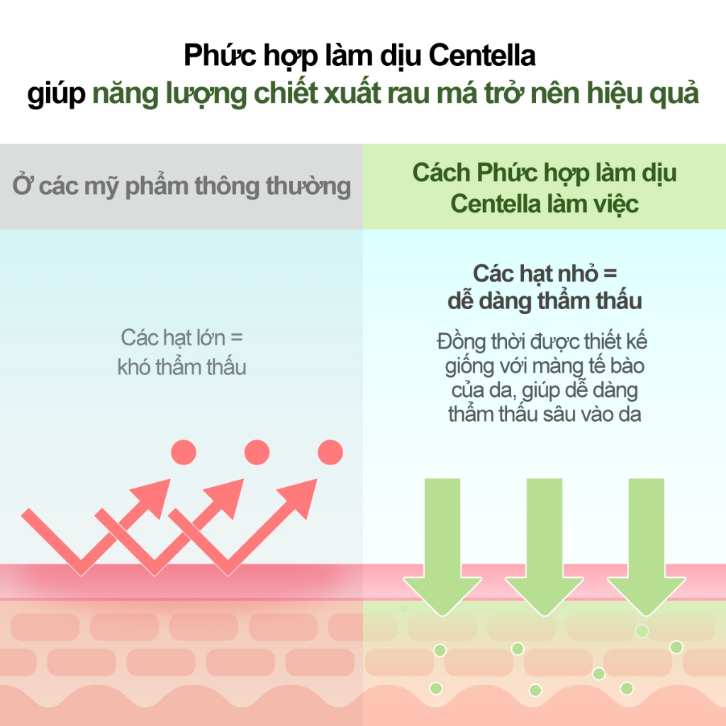 Kem dưỡng numbuzin chiết xuất rau má Ceramide Số 2