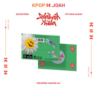 Seventeen 11th mini album