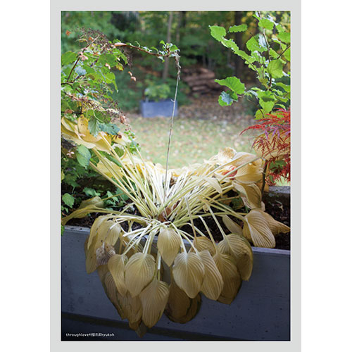 HYUKOH  5th FULL ALBUM