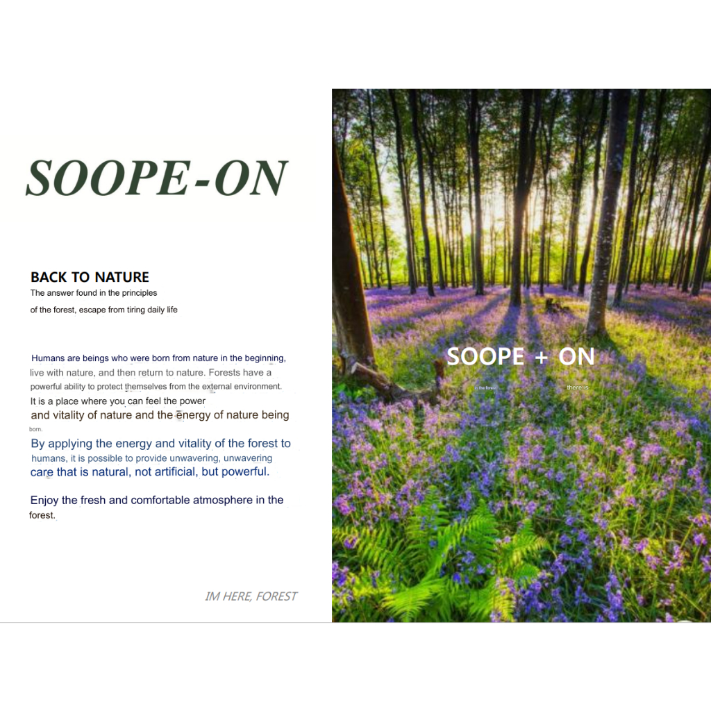 Dầu Gội Đầu Hoa Trà Dung Tích 1000ml daeng gi Meori 15 argan