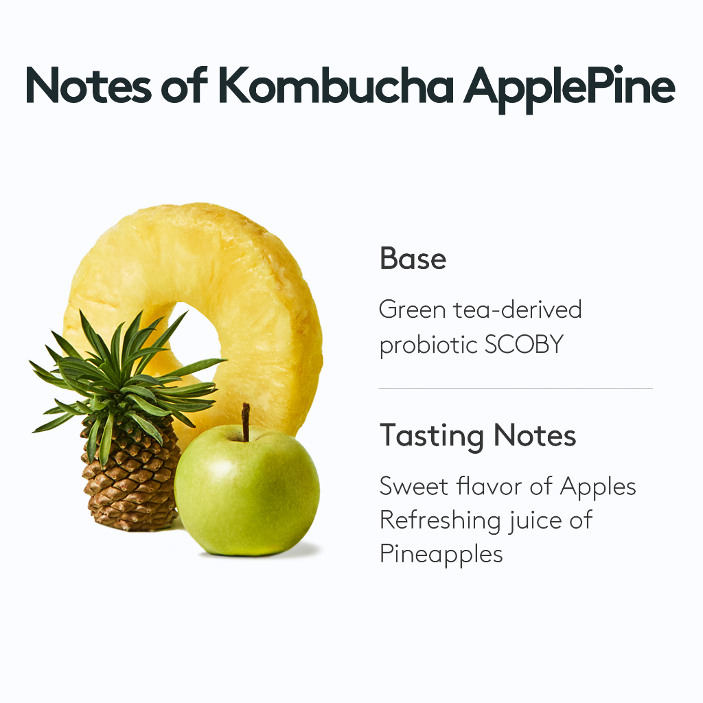 Trà Kombucha 10 Que