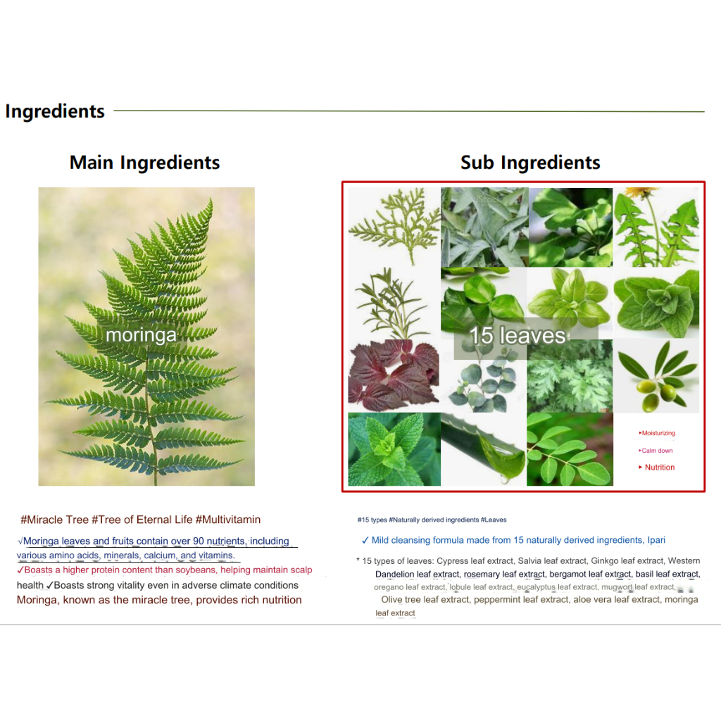 Dầu Gội Đầu Hoa Trà Dung Tích 1000ml daeng gi Meori 15 argan