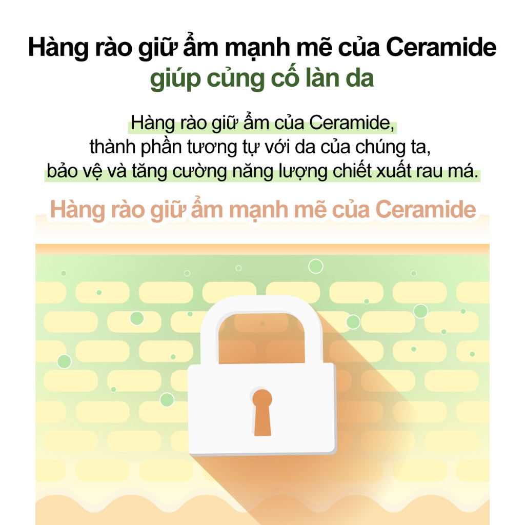 Kem dưỡng numbuzin chiết xuất rau má Ceramide Số 2