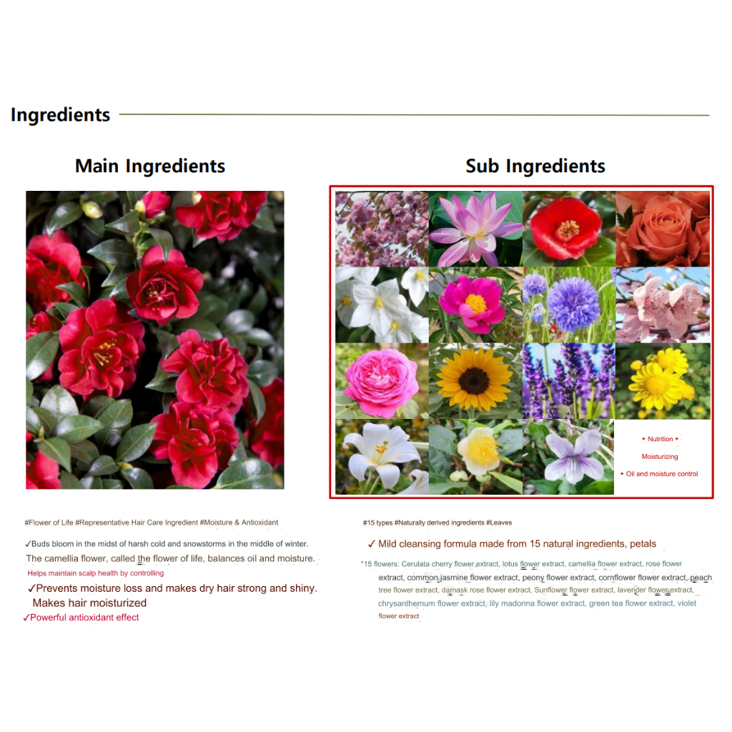 Dầu Gội Đầu Hoa Trà Dung Tích 1000ml daeng gi Meori 15 argan