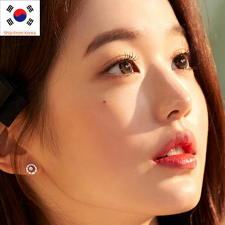 Hapa Kristin Secretive Kristin Plus (13.5) 1Day - Ống kính áp tròng Olive 10P, ống kính hàn quốc, ống kính