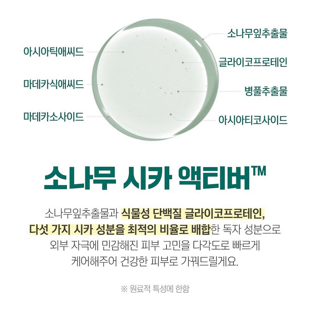 ROUND LAB 1025 Dokdo Toner / Pine Tree Soothing Cica Toner Dụng Cụ cica toner 1025 dokdo cica Hình Tròn Làm Dịu Da Cân Bằng Nước Khoáng