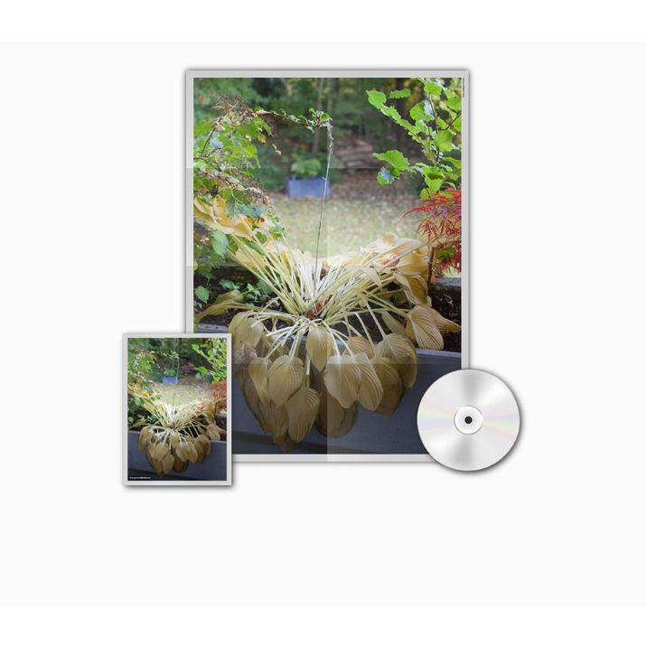 HYUKOH  5th FULL ALBUM