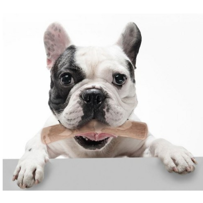 Dog WoodStick Coffee Tree Chew (xs * 5ea) – Nhai tự nhiên & tốt cho sức khỏe