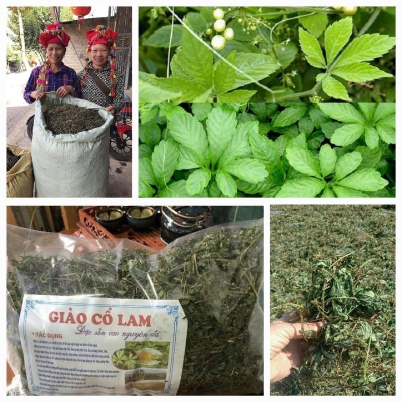 Giảo Cổ Lam 1kg