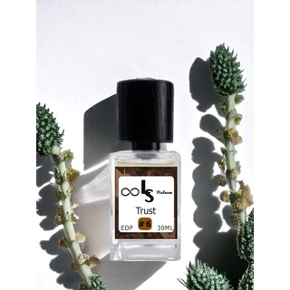 LS Perfume (TRUST 30ml) Nước hoa ls  nam pha chế thủ công