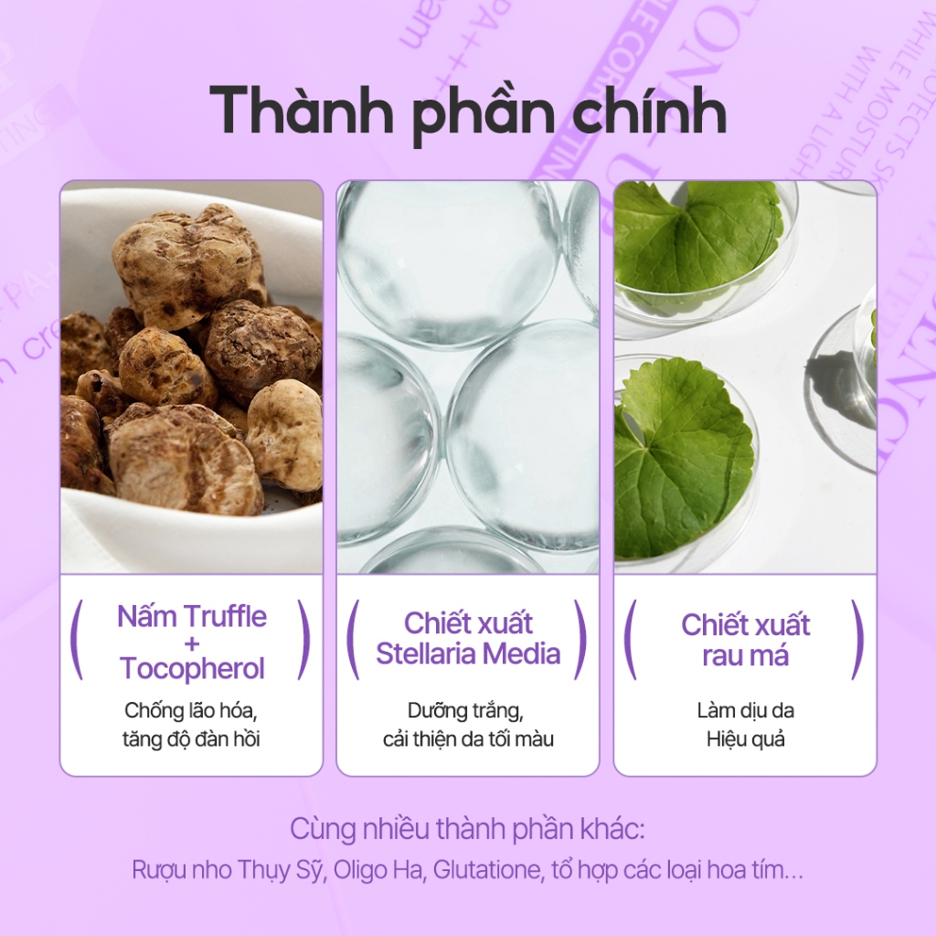 [d'Alba Official] Kem chống nắng nâng tone Tím d'Alba White Truffle Tone Up Sunscreen (Purple) 50ml | BigBuy360 - bigbuy360.vn