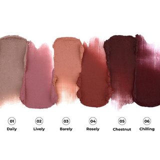 A.chi Blur Tint 4.3g