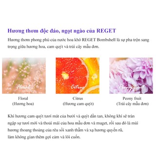 Nước hoa khô REGET Chestnut Shell Solid Perfume